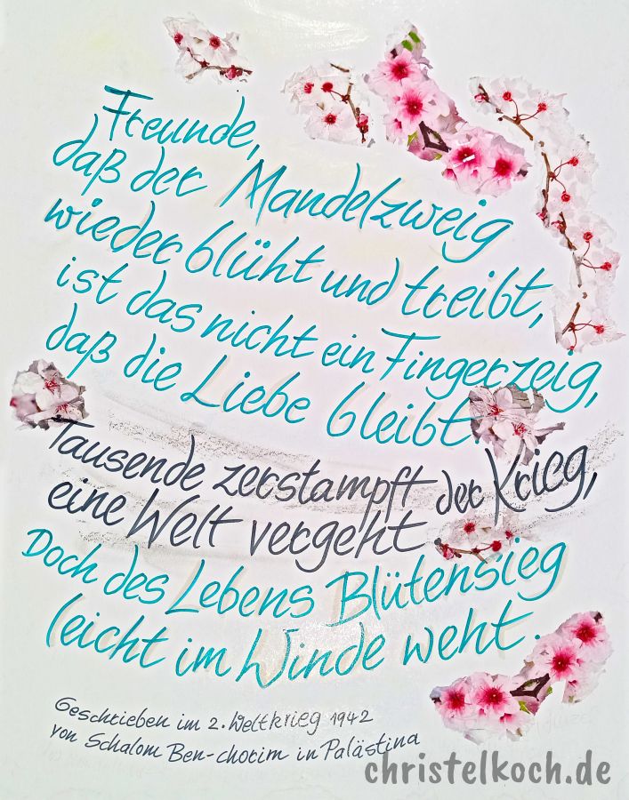 Freunde, dass der Mandelzweig wieder blüht und treibt, ist das nicht ein Fingerzeig, dass die Liebe bleibt? Dass das Leben nicht verging, so viel Blut auch schreit, achtet dieses nicht gering in der trübsten Zeit. Tausende zerstampft der Krieg, eine Welt vergeht. Doch des Lebens Blütensieg leicht im Winde weht. Freunde, dass der Mandelzweig sich in Blüten wiegt, bleibe uns ein Fingerzeig, wie das Leben siegt. - Schalom Ben-Chorin