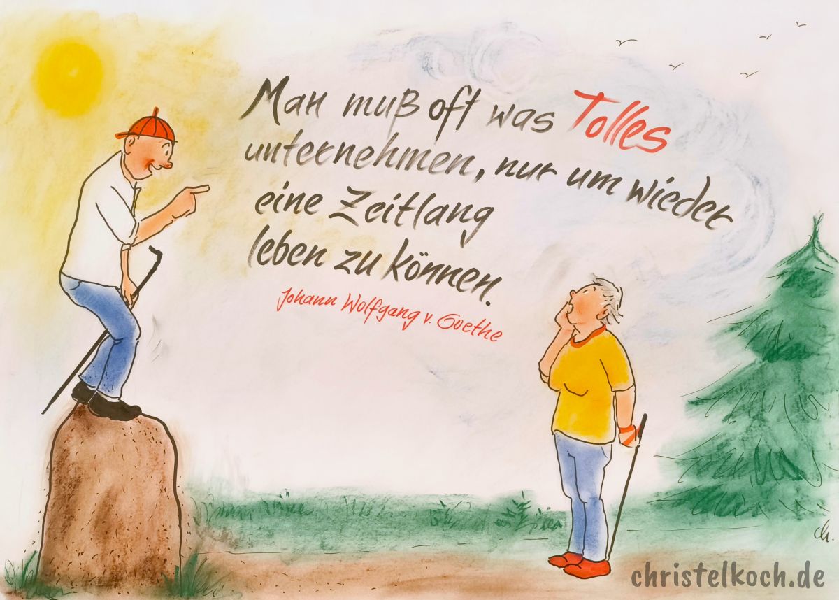 Man muß oft etwas Tolles unternehmen, um nur wieder eine Zeitlang leben zu können. - Johann Wolfgang von Goethe