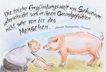 Die reiche Empfindungswelt von Schweinen unterscheidet sich in ihren Grundgefühlen nicht sehr von der des Menschen. - Johannes Baumgartner (Tierarzt)