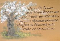 Wenn alte Bäume noch frische Blüten und gute Frucht hervorbringen, so mag das Menschen ermuntern, ebenfalls im Alter noch gute Werke zu verrichten. - Alexander Demandt
