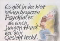 Es gibt in der Welt keinen besseren Psychiater als einen jungen Hund, der dein Gesicht leckt. - Ben Williams