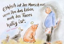 Ethisch ist der Mensch nur, wenn ihm das Leben, auch des Tieres heilig ist. - Albert Schweitzer
