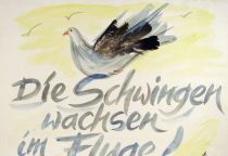 Die Schwingen wachsen im Fluge! - unbekannt